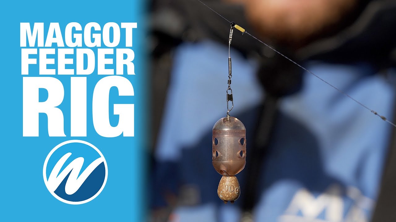 Maggot Feeder Rig | Andy's Rig Of The Month | Winter Match Fishing