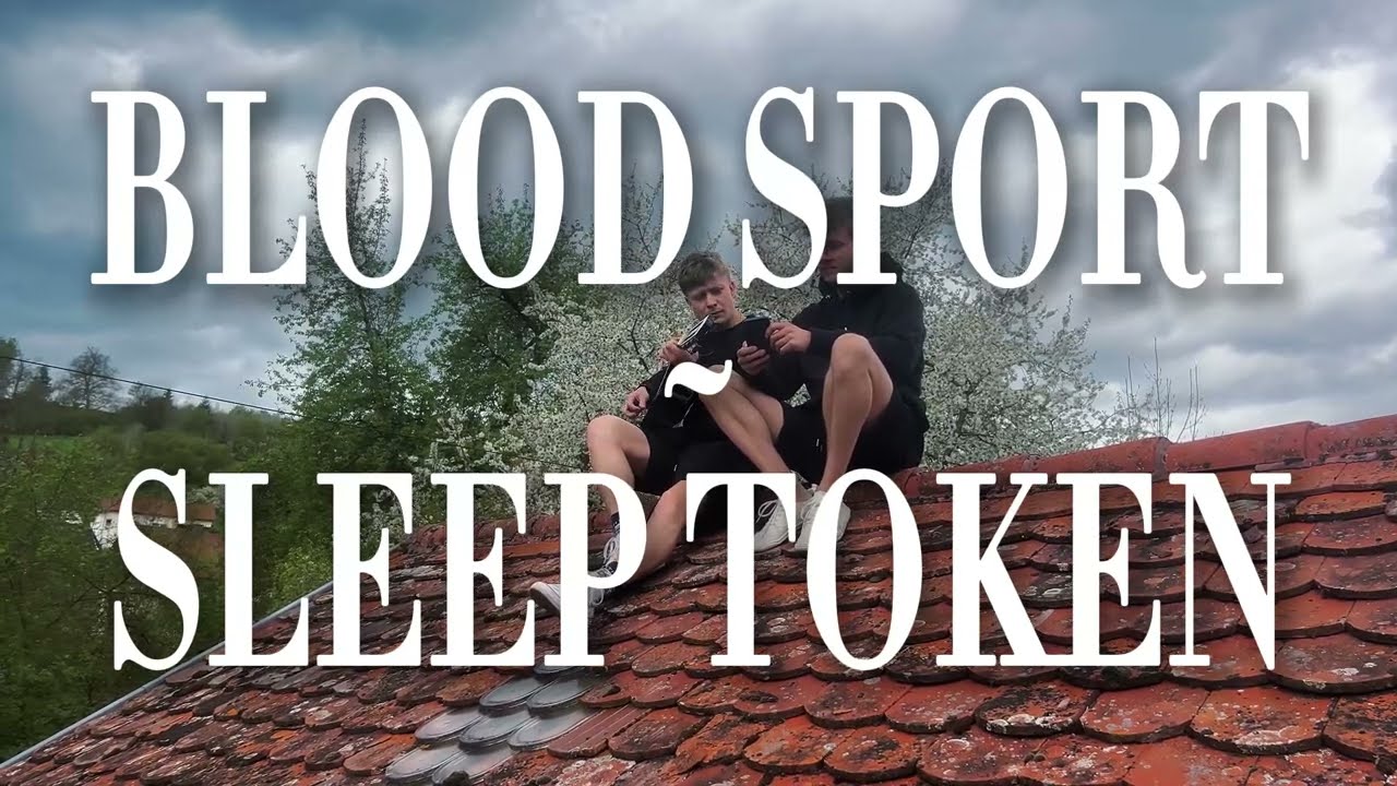 Sleep Token - Blood Sport (acoustic cover)