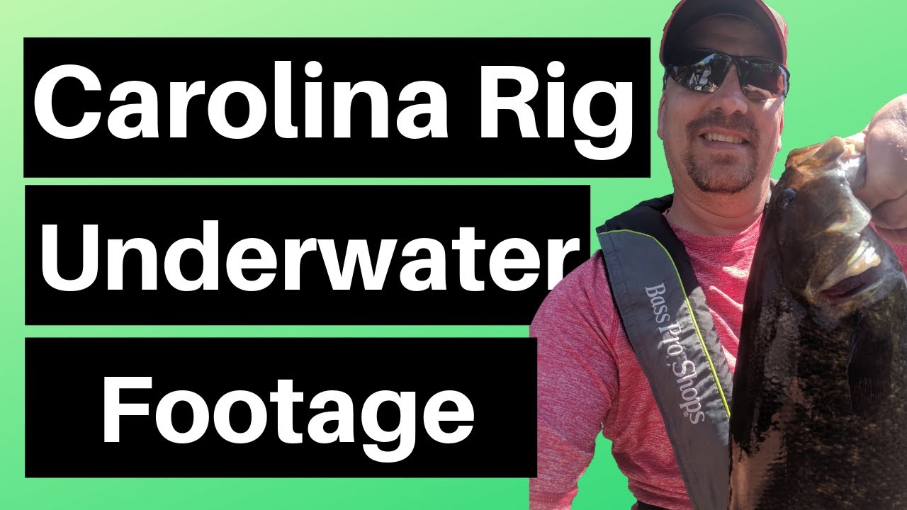 Carolina Rig Part 2 - Underwater Footage