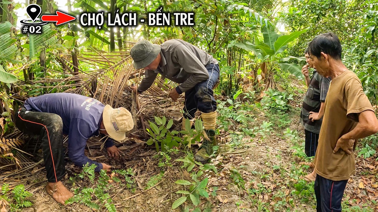 3 Địa Điểm Có Phát Hiện Rắn Đáng Sợ | TGSB #1122