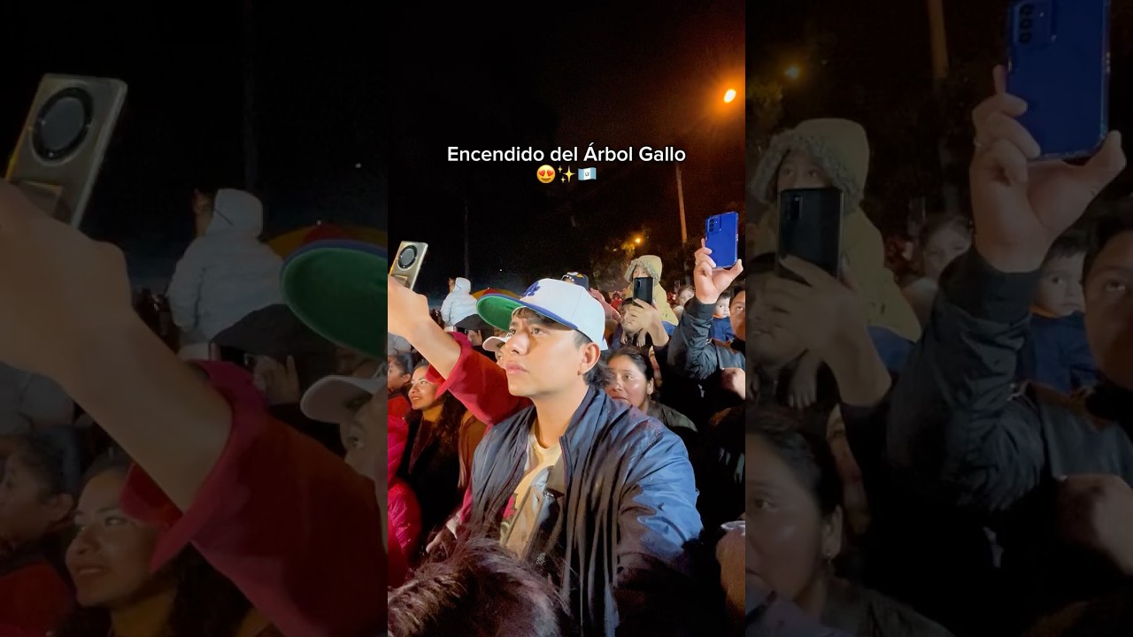 Encendido de &Aacute;rbol Gallo Guatemala 😍✨🎄 #humor #guatemala #navidad #viral