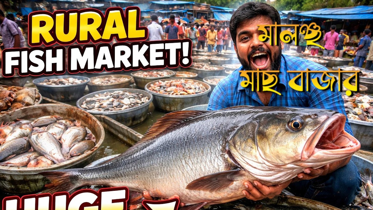 মালঞ্চা পাইকারি মাছ বাজার ২০২৬ | ফেব্রুয়ারি লাইভ মাছের দাম | মাছের ব্যবসা শুরু করবেন কীভাবে