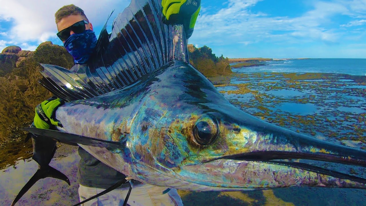 CATCHING THE FASTEST FISH IN THE OCEAN FROM LAND | SAILFISH | EP10 Landbased rock fishing