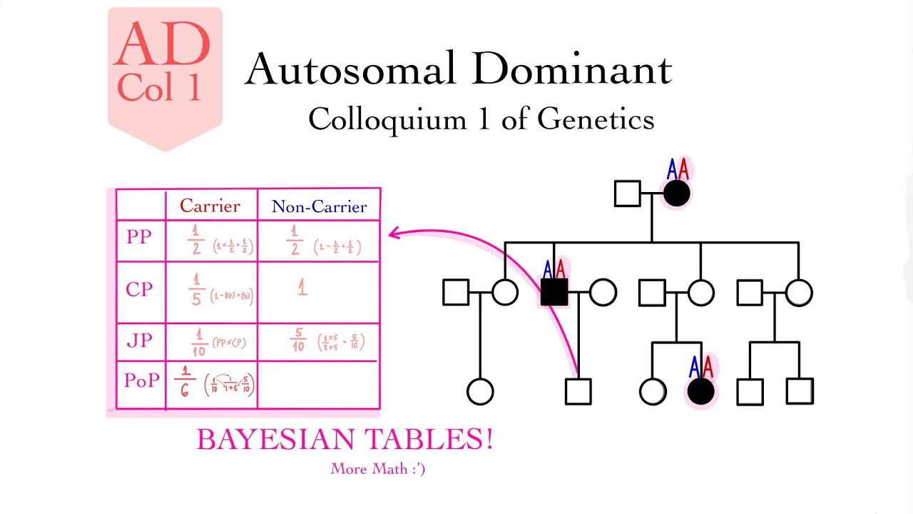 Autosomal DOMINANT Rules and Calculation Examples (Genetics Col 1) - Nadia Aldaher