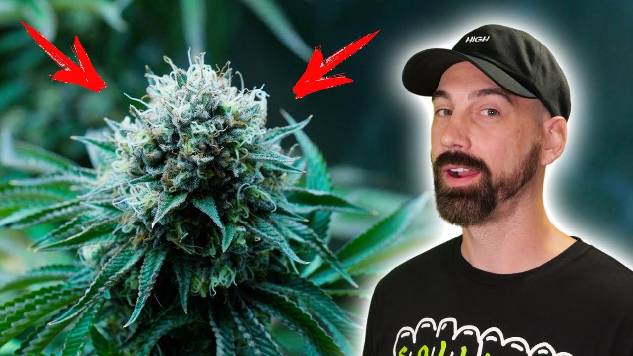 Harvest Window Is Open &mdash; Here&rsquo;s What I&rsquo;m Seeing...