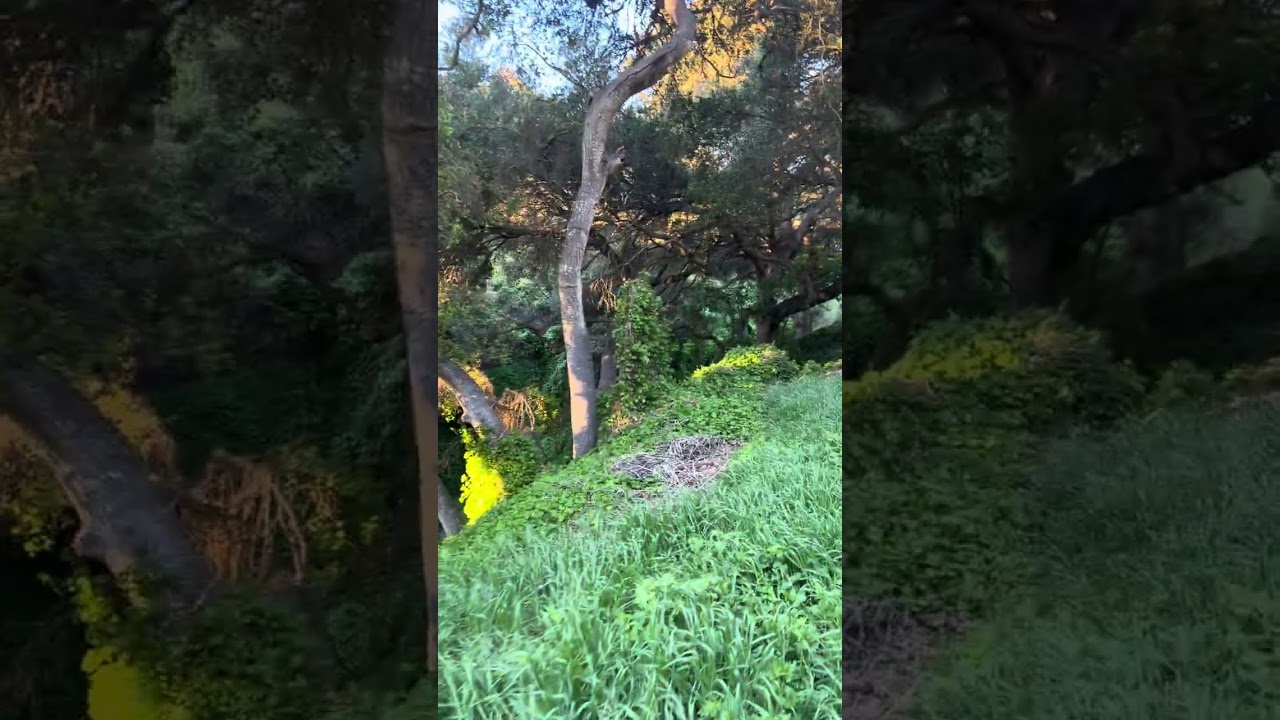 Una tarde de caminata 