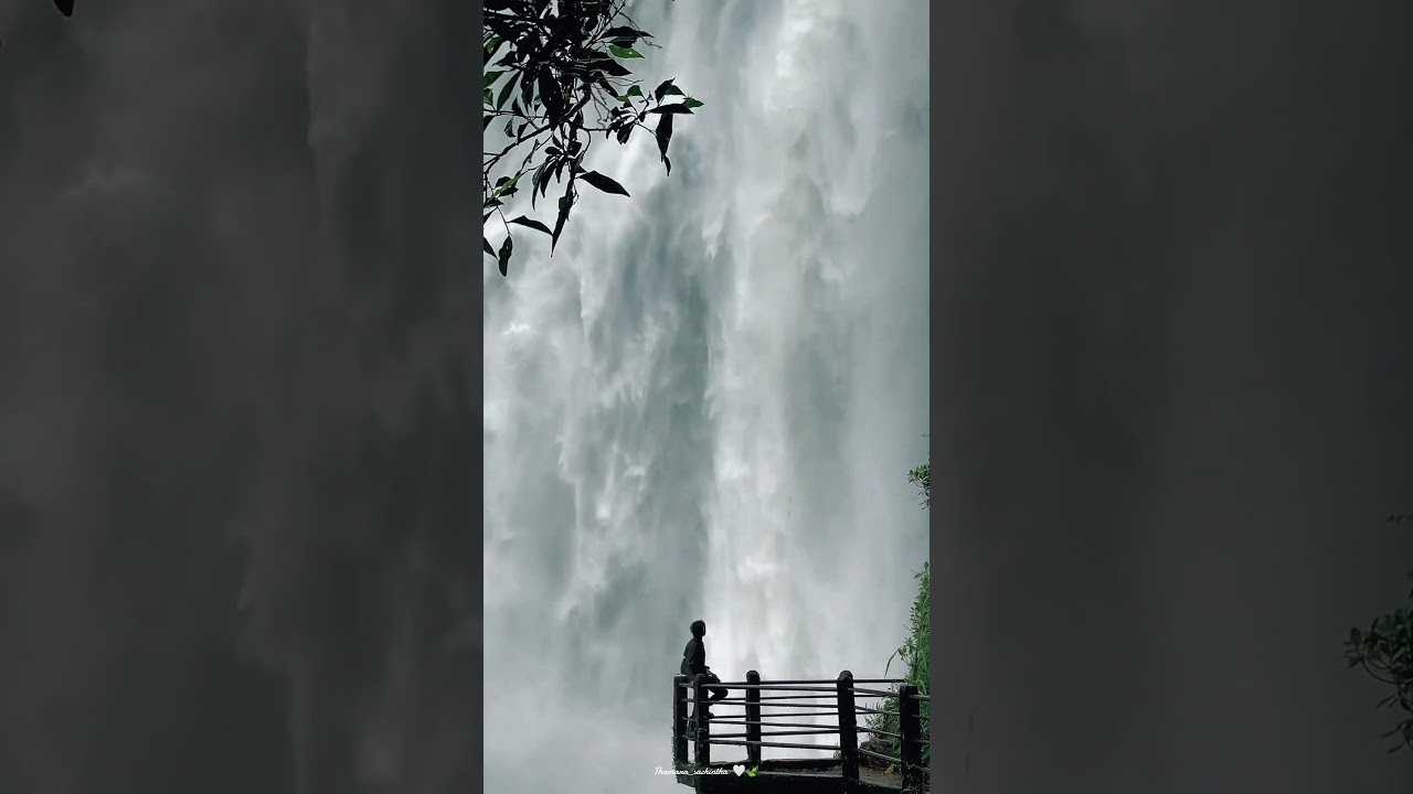Chasing Waterfalls. 