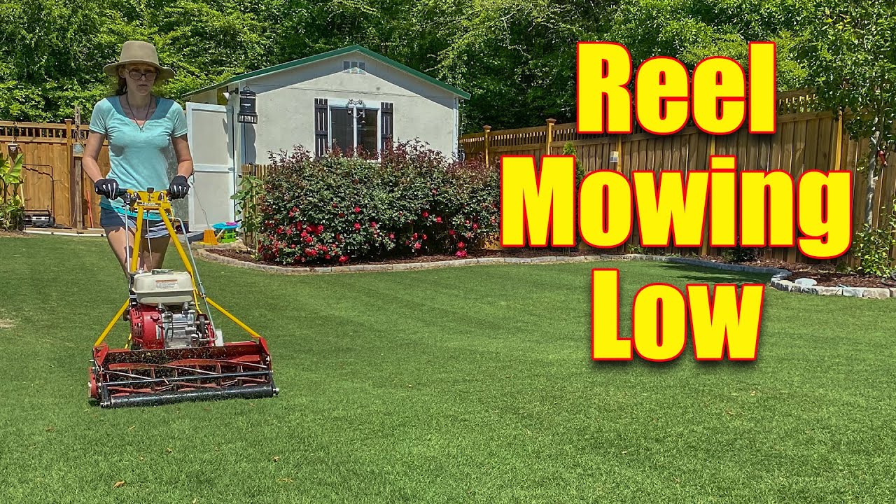 Gas Reel Mowers - Reel Mowing Low Grass