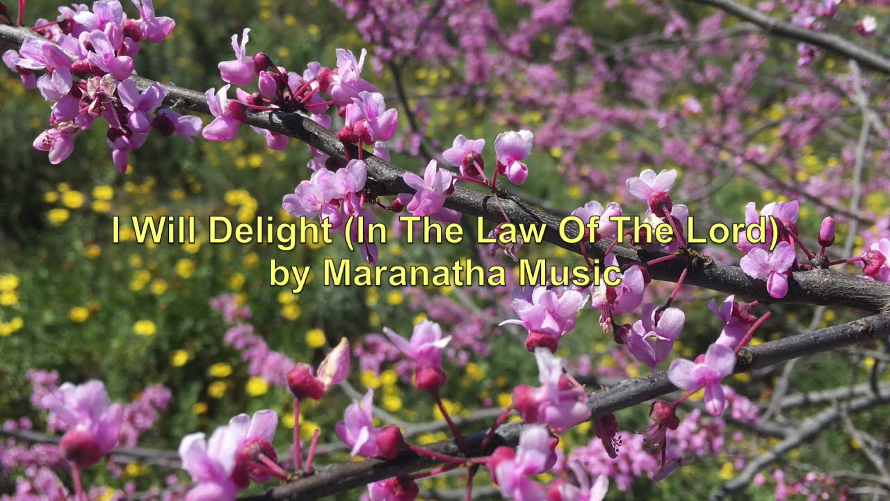 I Will Delight (In The Law Of The Lord) with Lyrics by Maranatha Music