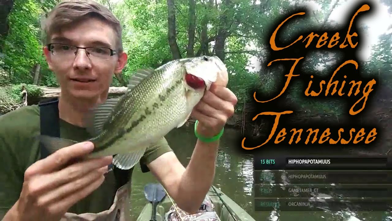 SURPRISING East Tennessee Creek Wading and Kayak Fishing Trout Magnet Worms