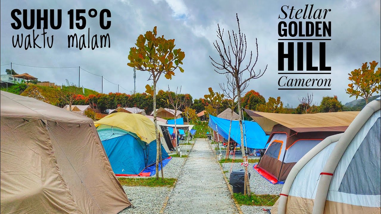 Stellar Golden Hill Cameron Highland