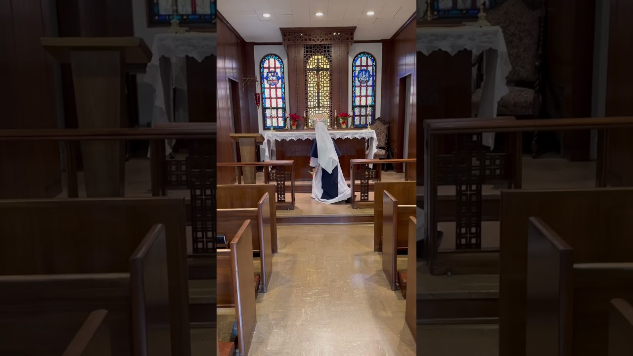The simple beauty of the Catholic Church #Catholic #shorts