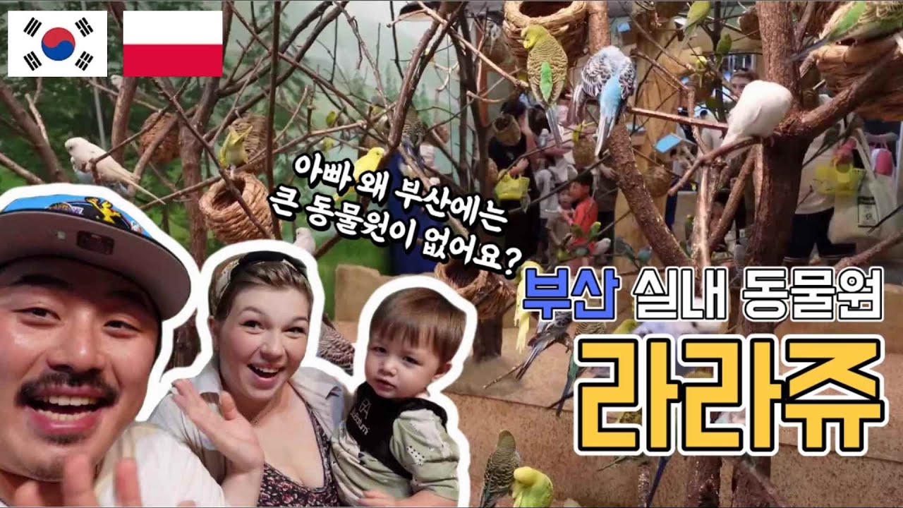 피터와 함께 처음가는 부산 실내 동물원 '라라쥬' 아들보다 더 신난 아내