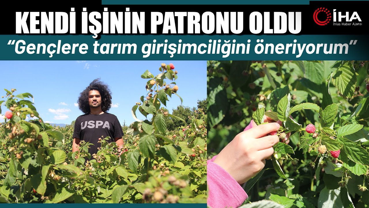 Orman Meyveleri Bahçesi Kurdu Tarımda Kendi İşinin Patronu Oldu
