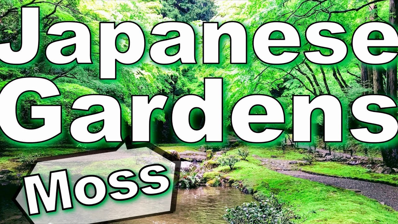 Japanese Garden (Moss garden)