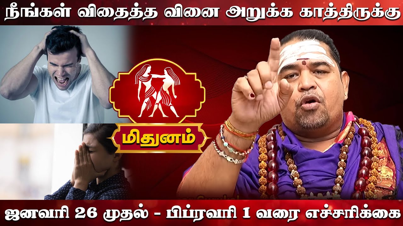 மிதுனம் | நீங்கள் விதைத்த வினை அறுக்க காத்திருக்கு | Mithunam Rasi palan
