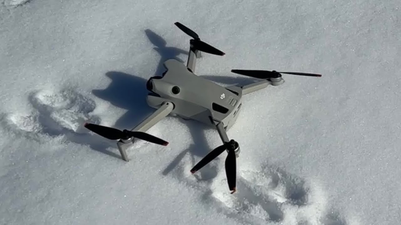 Snow day with my sooni and DJI mini 4 pro#djimini4pro #show #dog 