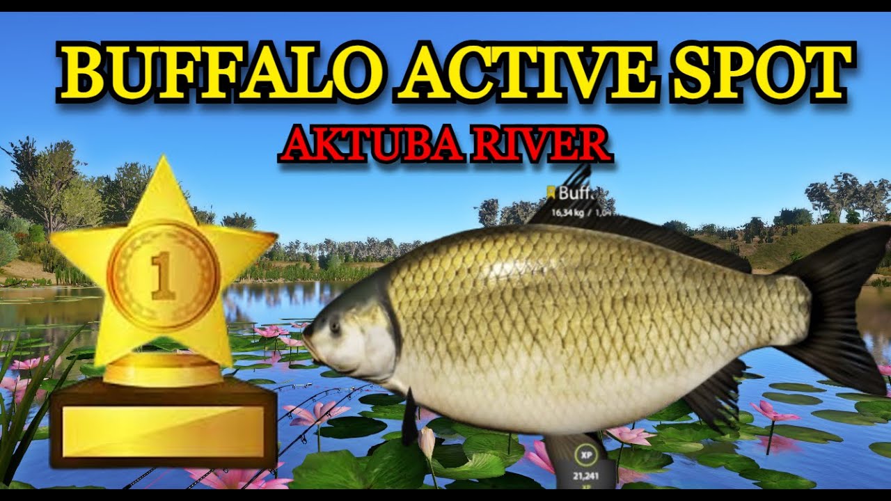 Russian Fishing 4 (RF4) BUFFALO ACTIVE SPOT ON AKTUBA RIVER!