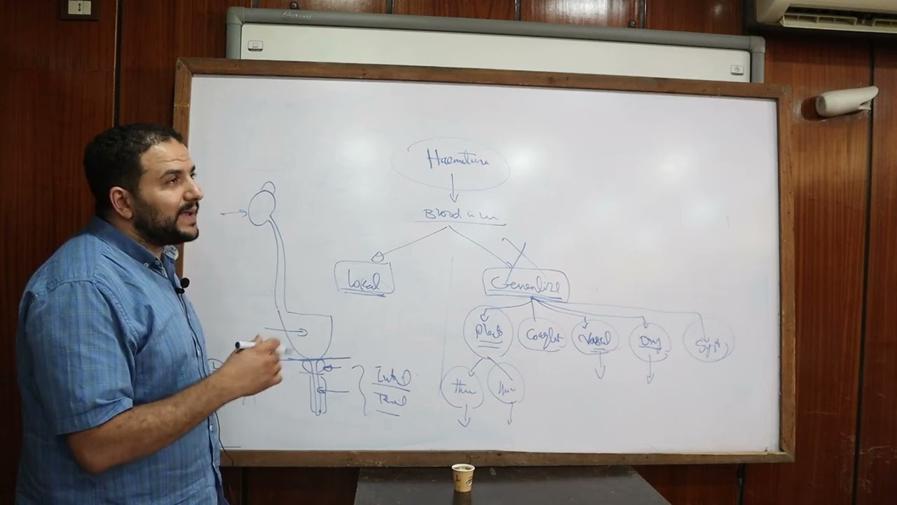 14. Approach to Hematuria  | Dr. Mostafa Sabrh, MD.