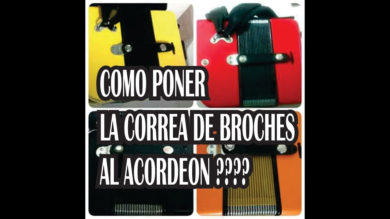 Como colocar las correas de  broches del acordeón