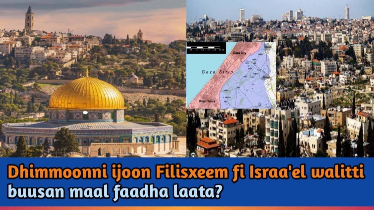 #Dhimmoonni ijoon Filisxeem fi Israa'el walitti buusan maal faadha laata?