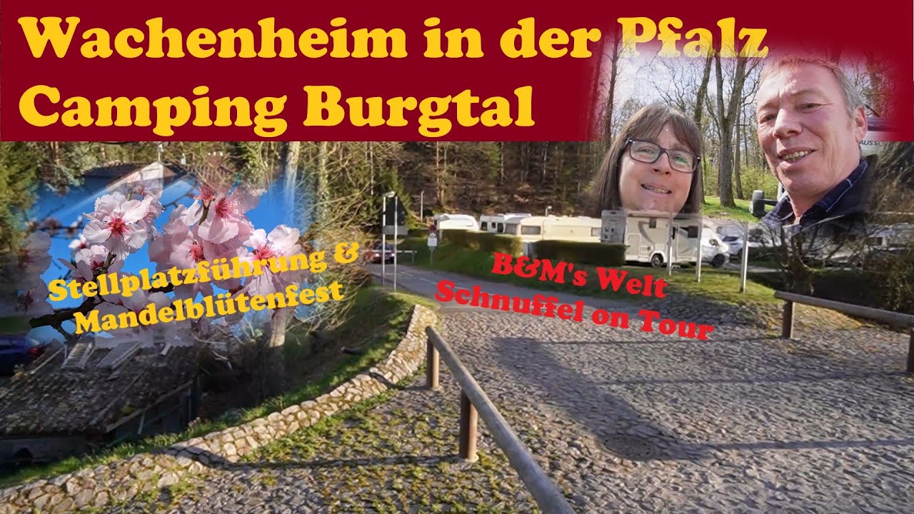 Wachenheim in der Pfalz - Camping Burgtal