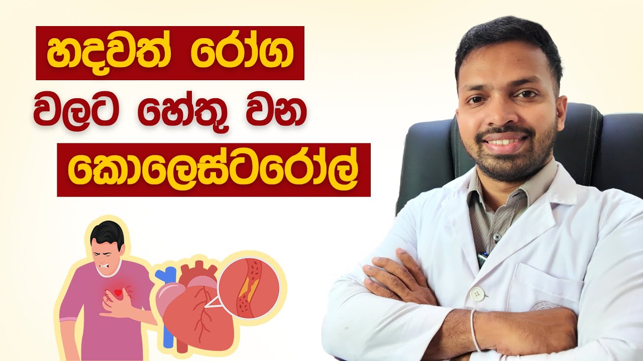 හදවත් රෝගවලට හේතු වන කොලෙස්ටරෝල් | LDL and HDL Cholesterol | Lipid Profile Test