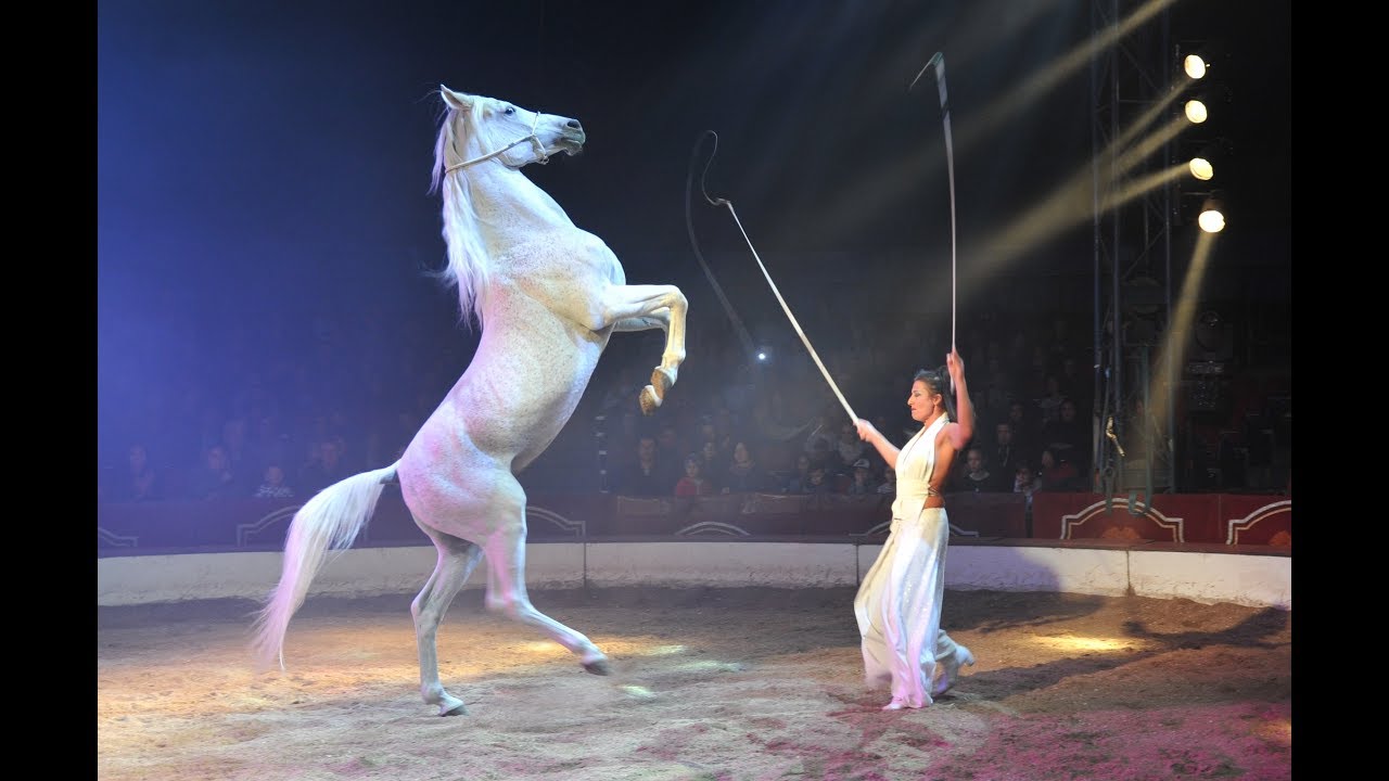 Cristina Magli Togni - liberty horses @ Circus Louis Knie 2019