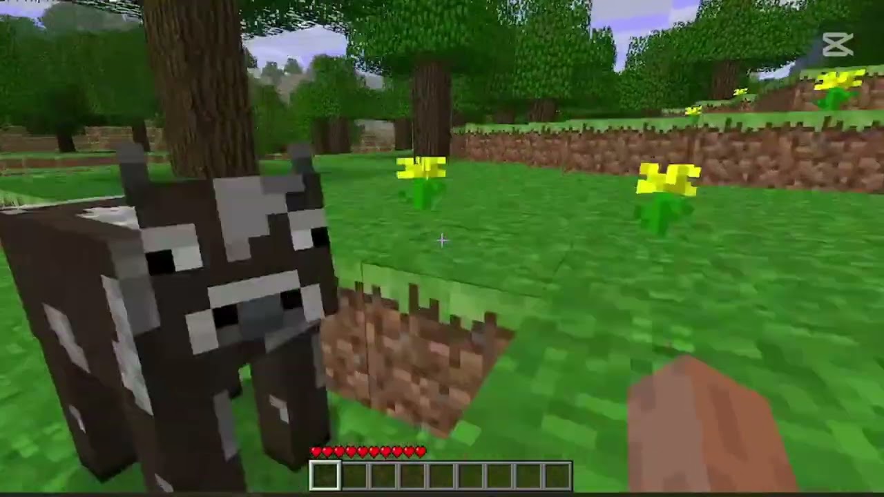 minecraft | ماين كرافت قديم