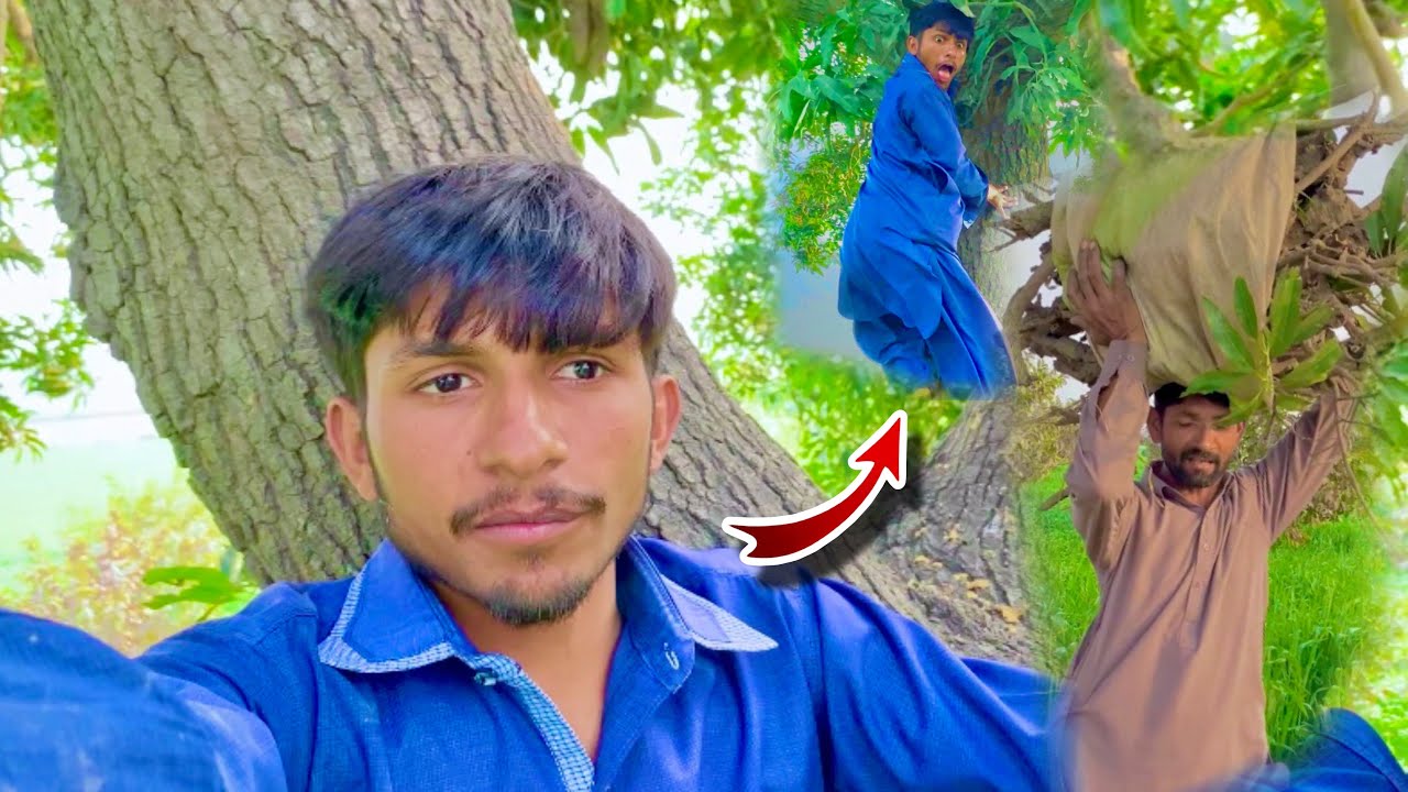 Aam ke vruksh se Lakadi utarane￼😡😡