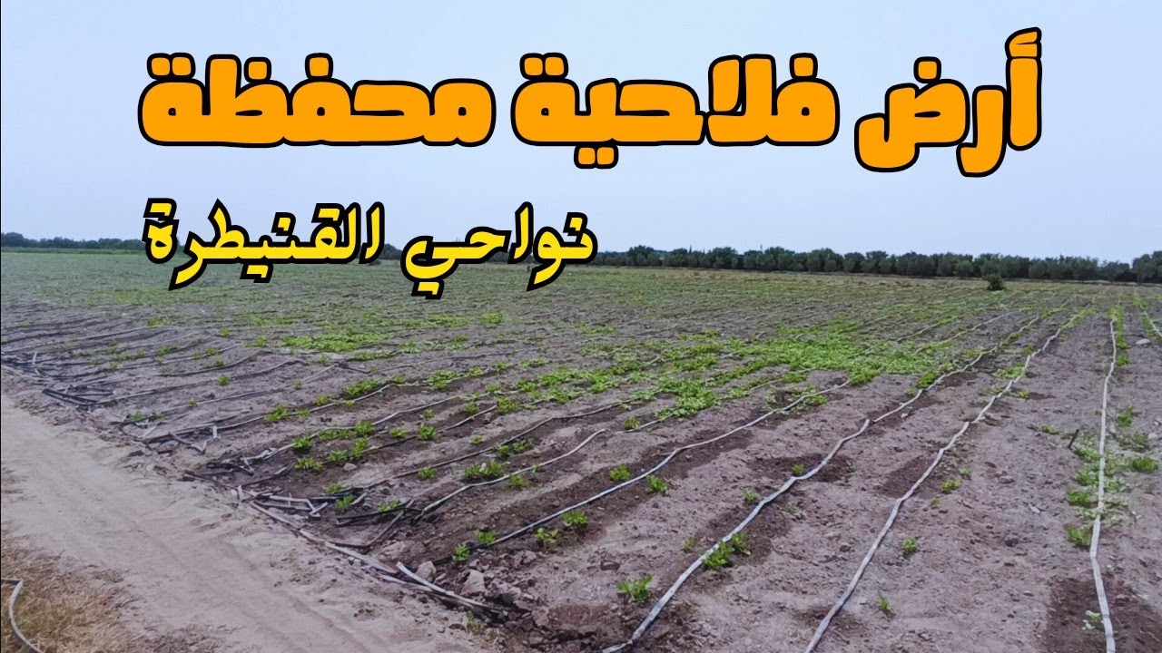 أرض فلاحية محفظة و مجهزة في أحسن منطقة فلاحية في المغرب