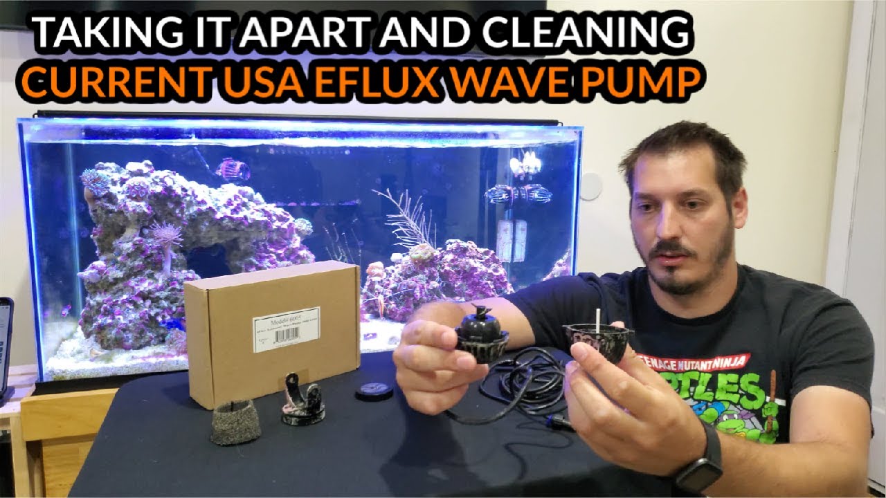 EASY!!! How To Take Apart and Clean | Current USA eFlux Wave Pump How To and Review