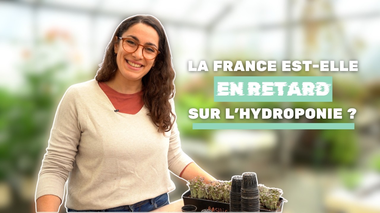 ADORÉE ou MÉPRISÉE : l'hydroponie à travers le monde.