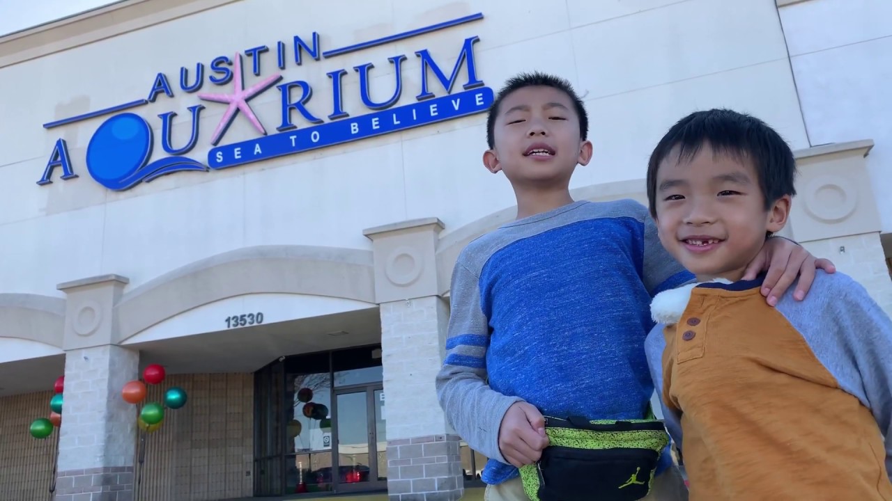 Austin Aquarium, Texas (bonus footage)