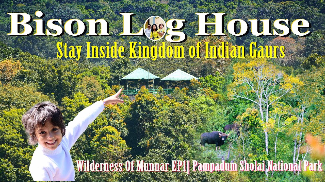 Log House stay Inside Indian Gaurs kingdom | Pambadum shola national park | Wilderness Of Munnar EP1