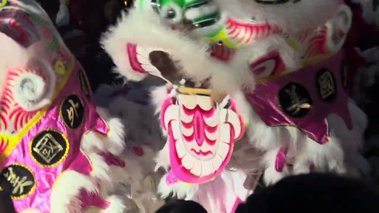 Dancing dragons 🐉 #parati #viral #fypシ #viralvideo #story #tet 2026