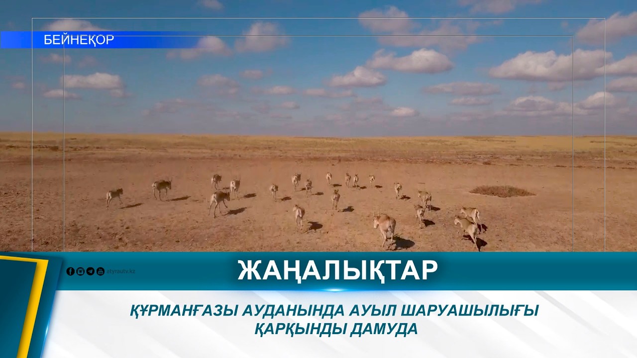 ҚҰРМАНҒАЗЫ АУДАНЫНДА АУЫЛ ШАРУАШЫЛЫҒЫ ҚАРҚЫНДЫ ДАМУДА
