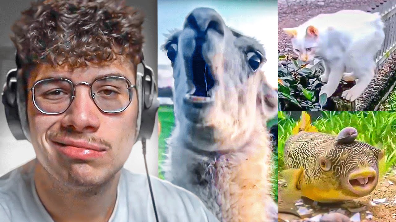 hola esta es tu dosis diaria de internet 👍