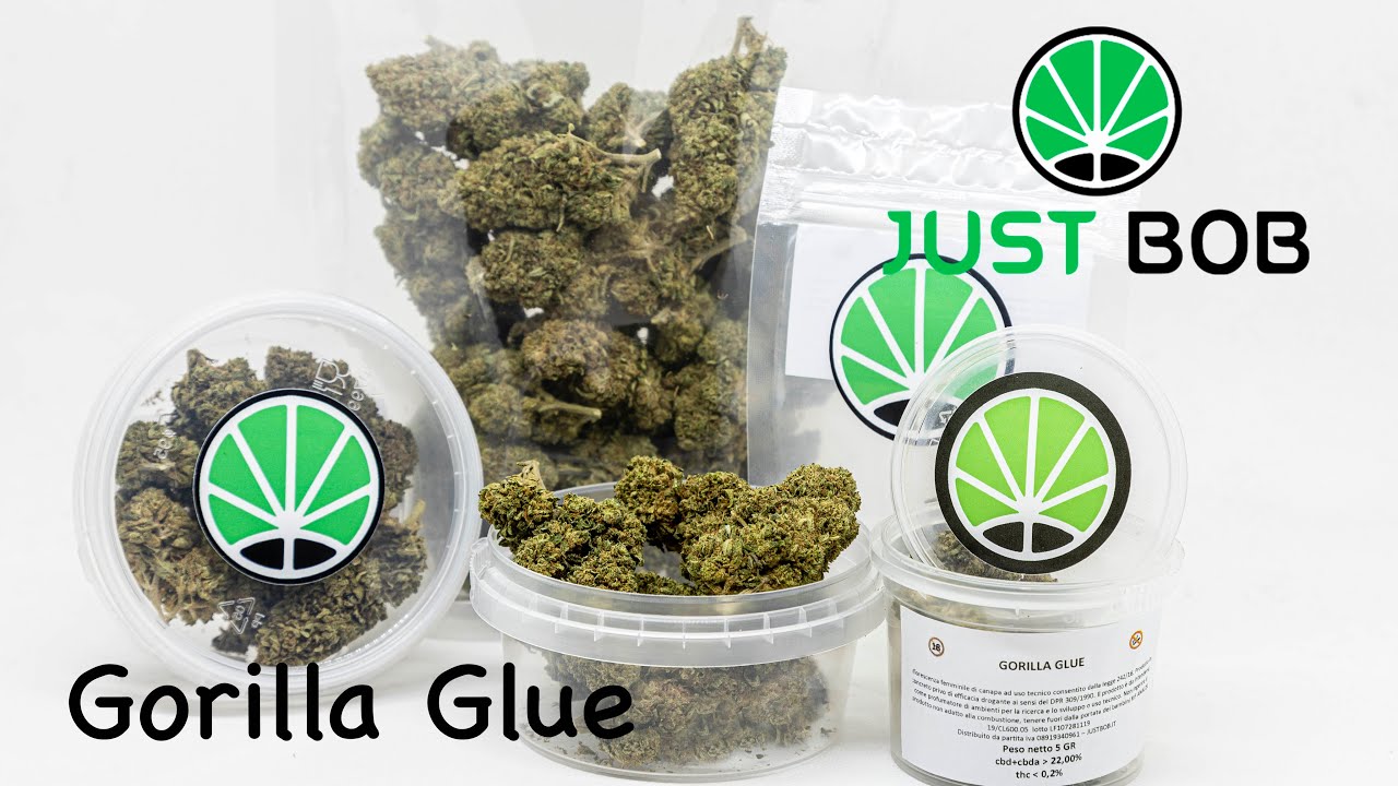 Gorilla Glue CBD - CBD Weed - JustBob ENG