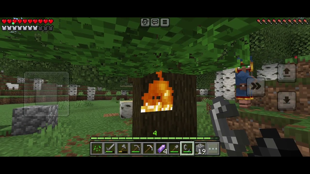Gameplay de Minecraft parte 5 -finalmente fiz uma em casa.