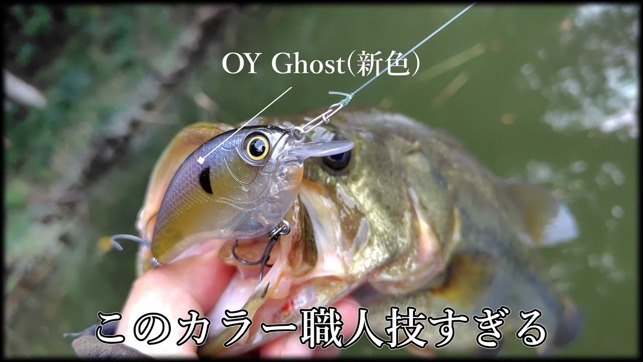 【チーター】こういうの見ると自分でルアー作る気とか起きないよな【mibro】