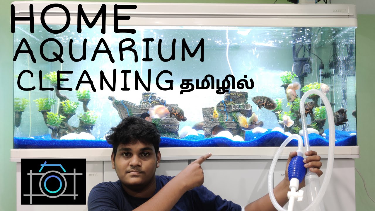 fish tank cleaning in tamil | மீன் தொட்டி சுத்தம் செய்வது எப்படி ?