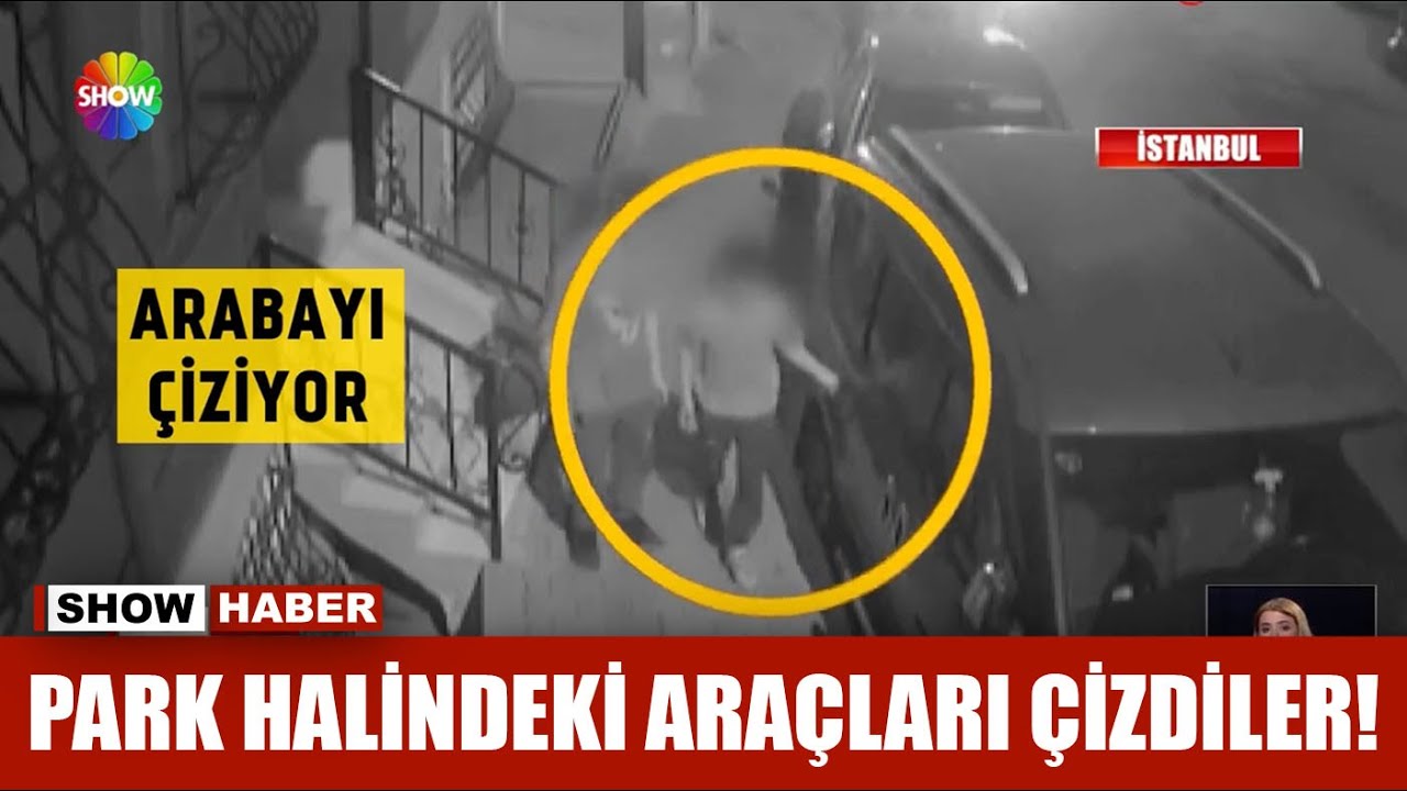 Park halindeki araçları çizdiler!