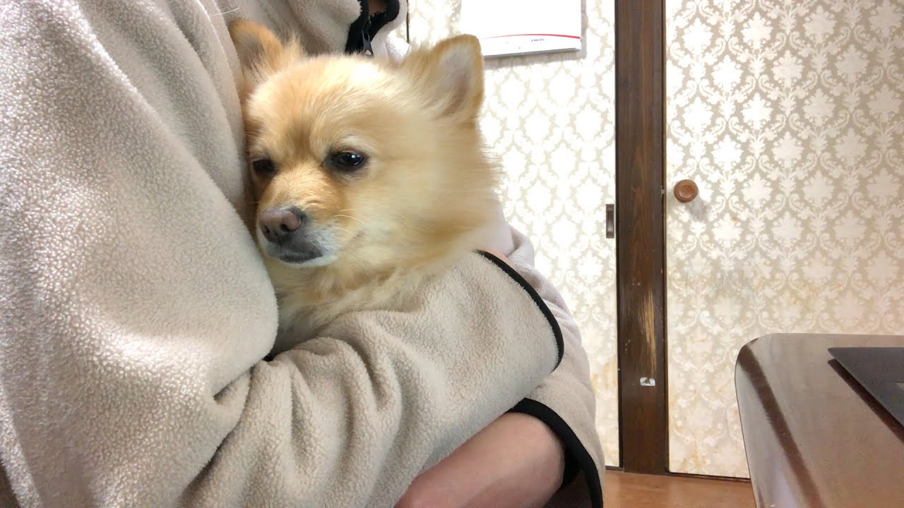 守らなければならないものができたんだ…