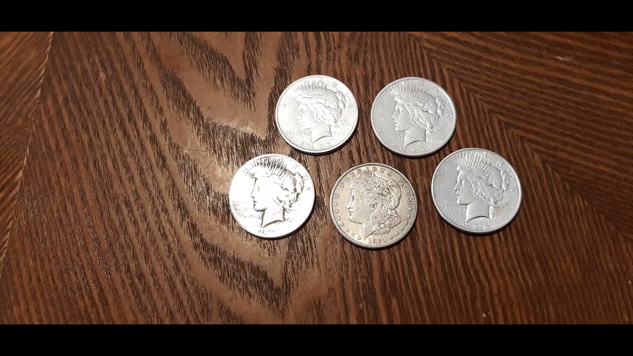 5 Silver Dollars Added + IRA Update! 🤩
