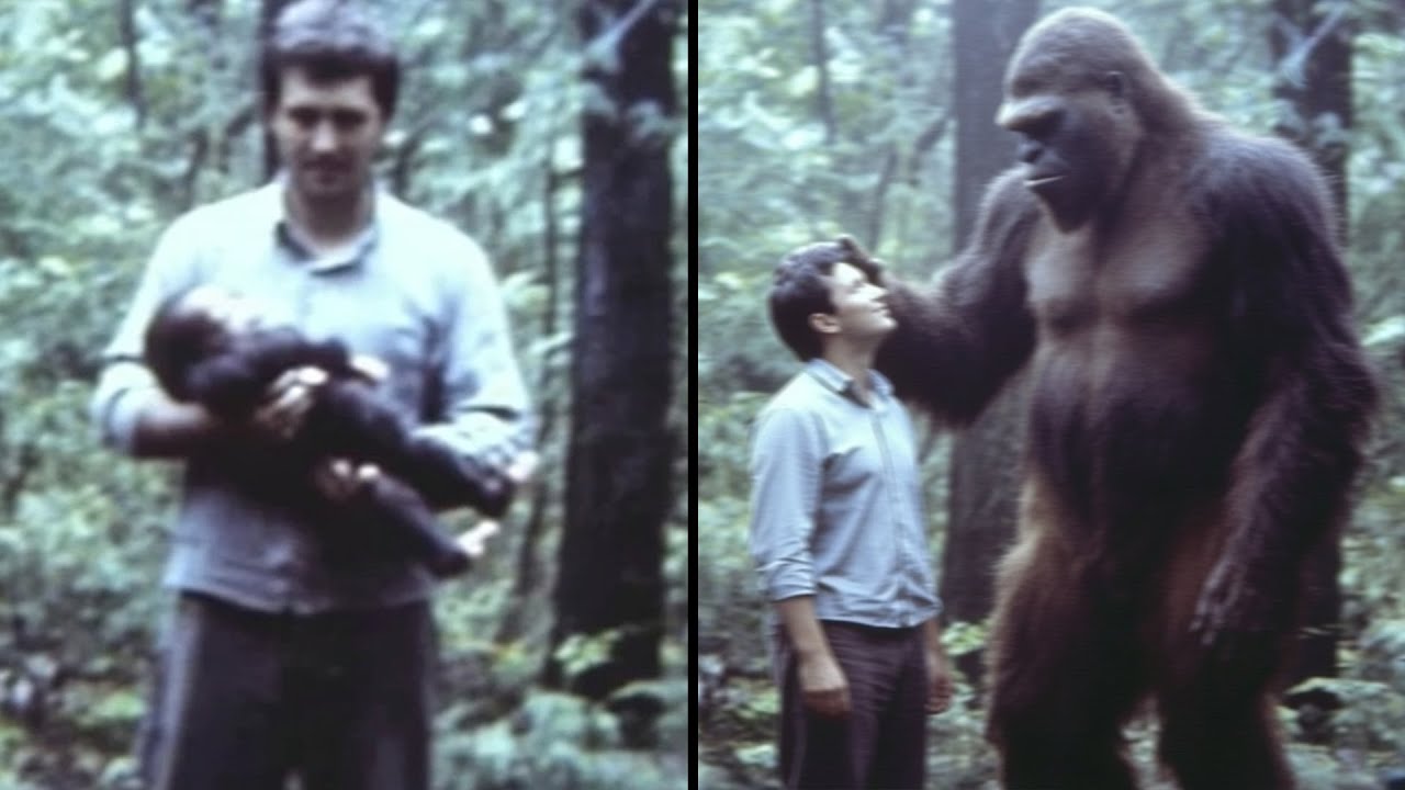 I Helped a Young Bigfoot. What Happened Next Will Shock and Haunt You...
