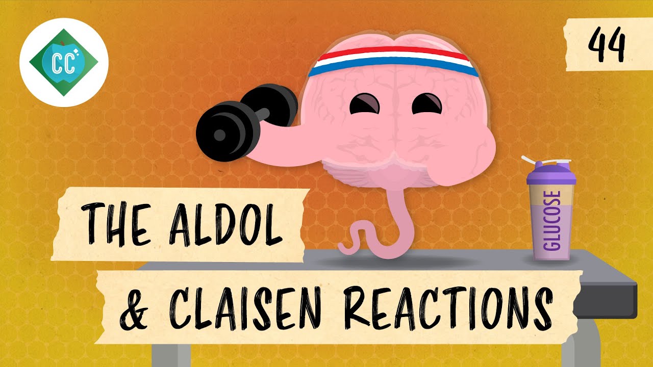 The Aldol and Claisen Reactions: Crash Course Organic Chemistry #44