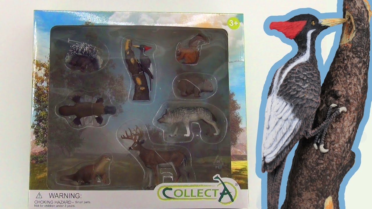 Woodland animals set from COLLECTA. Unboxing!