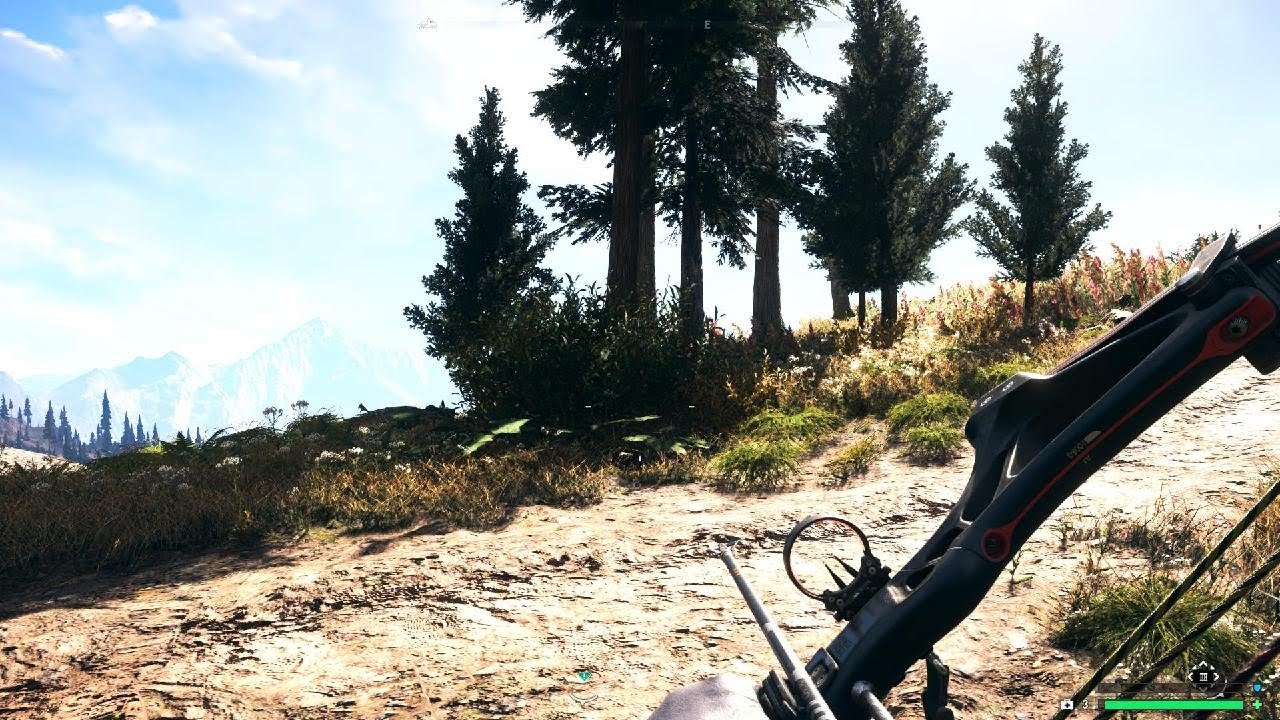 Far Cry 5_maltese falcon