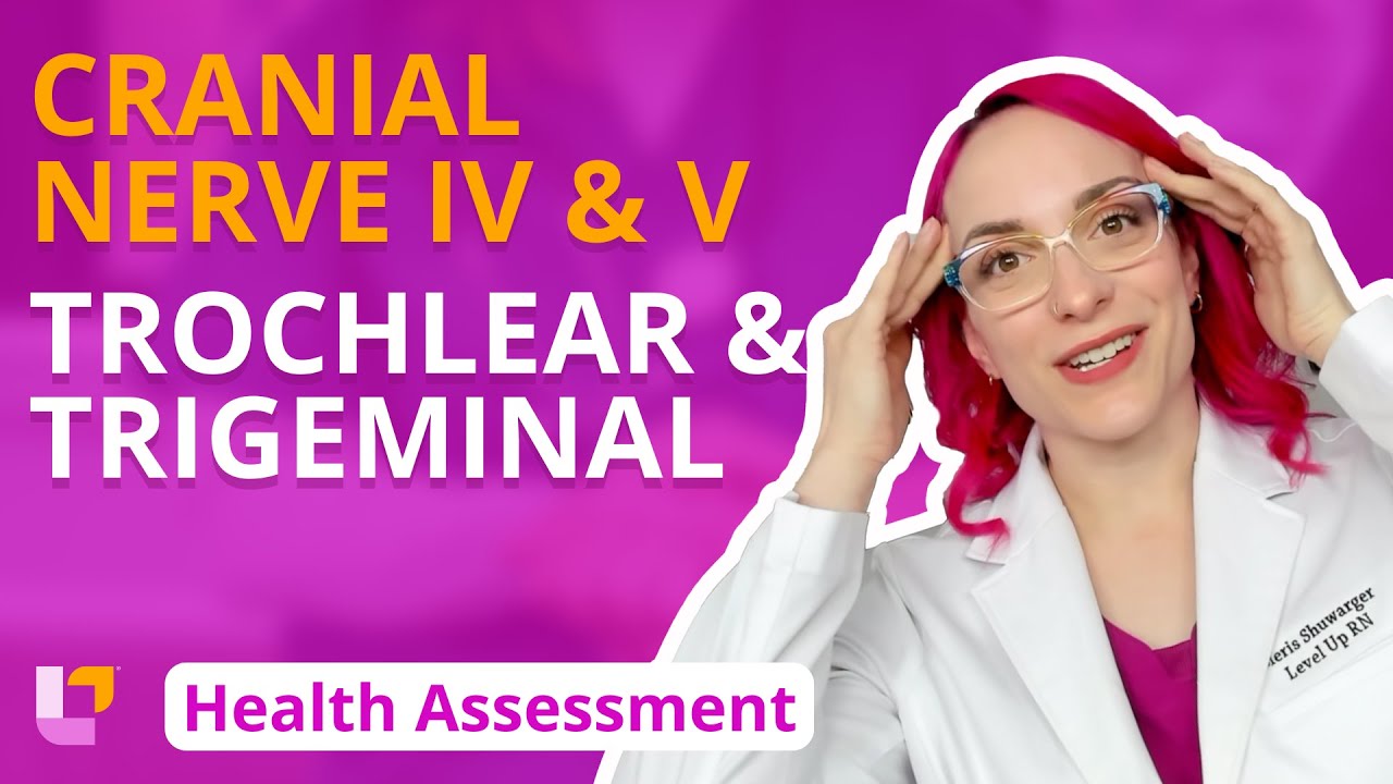 Cranial Nerve IV & V: Trochlear & Trigeminal - Health Assessment for Nursing Students | @LevelUpRN